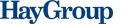 Logo HayGroup